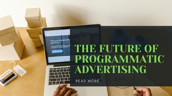 Emerging Programmatic Advertising Trends You Need in 2025 Emerging Programmatic Advertising Trends You Need in 2025